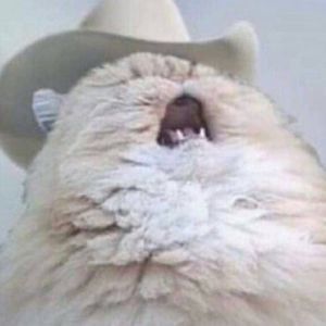 Meet your Posher, Jayden